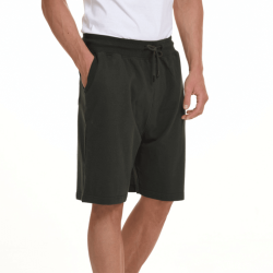 BISTON 45-221-006 GREEN Ανδρική Βερμούδα Βαμβακερή 