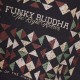 FUNKY BUDDHA FBM012-028-06 ANTHRACITE Φούτερ με κουκούλα