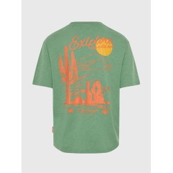 Ανδρικό Relaxed fit t-shirt με τύπωμα στην πλάτη FBM009-039-04 DK IVY