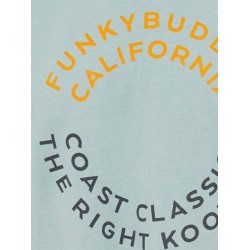 Ανδρικό T-shirt με text artwork τύπωμα στο στήθος FBM009-089-04 AQUA GREY