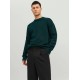JACK&JONES 12215468 Magical Forest Πουλόβερ 