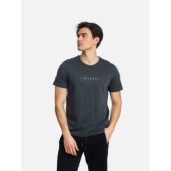 Ανδρικό T-shirt PACO&CO 2431036 GREY Κανονική γραμμή- Cotton