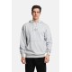 Ανδρικό φούτερ με κουκούλα PACO&CO 2481065 LT GREY
