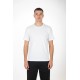 Ανδρικό T-shirt PACO&CO 2631090 WHITE T-shirt - πικέ